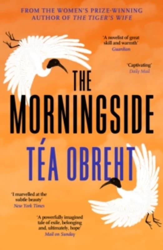 The Morningside : Shortlisted for the Climate Fiction Prize Paperback / softback