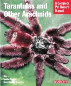 tarantulas and other arachnids