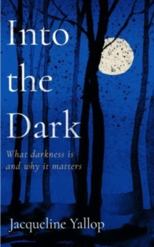 Into the Dark : What darkness is and why it matters Paperback / softback