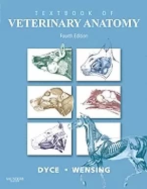 textbook of veterinary anatomy
