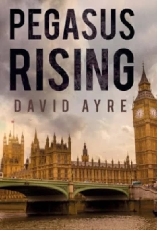 Pegasus Rising Paperback / softback