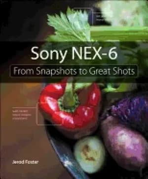sony nex 6 from snapshots to great shots