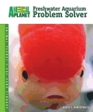 freshwater aquarium problem solver