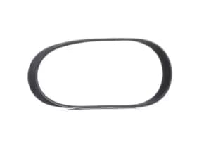 RIDEX V-ribbed belt 305P0467 Serpentine belt,Auxiliary belt FIAT,PEUGEOT,CITROEN,DUCATO Pritsche/Fahrgestell (230),DUCATO Bus (230)