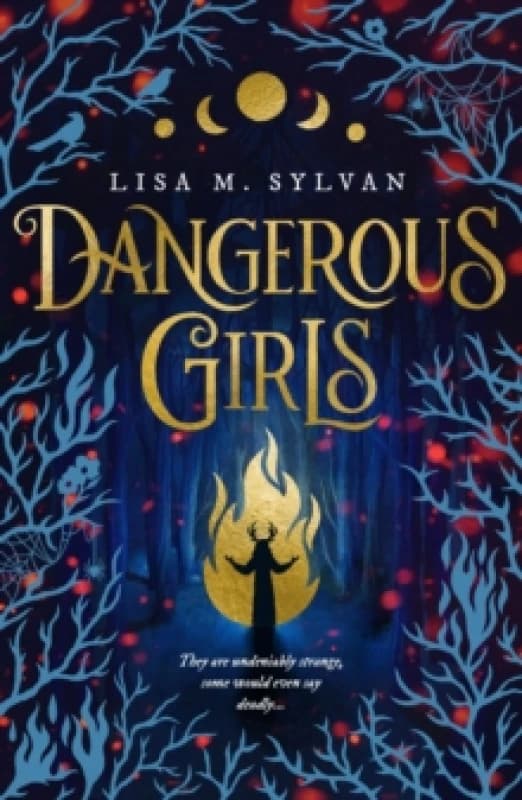 Dangerous Girls. Paperback. By Lisa M Sylvan Books
