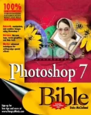 photoshop 7 bible