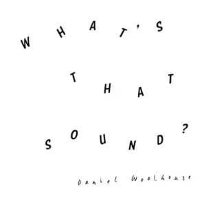 Daniel Woolhouse - WhatS That Sound Vinyl