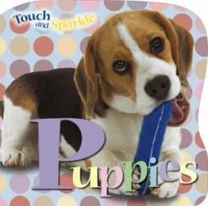 Touch and Sparkle by Katie Mayes Book