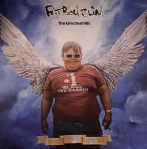 The Greatest Hits Why Try Harder by Fatboy Slim Vinyl Album