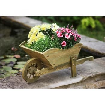Smart Garden Woodland Wheelbarrow Planter
