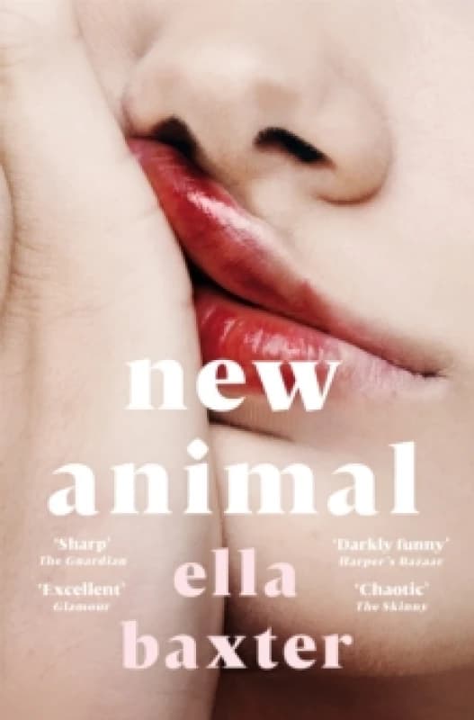 New Animal Paperback / softback