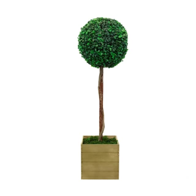 Streetwize Bay Ball Tall Tree in Pot Green unisex H 85cm