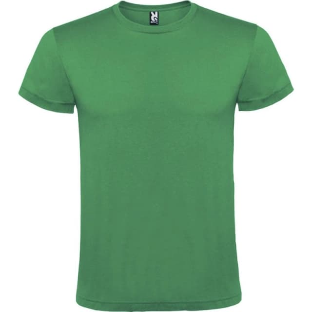 ROLY ROLY Men Atomic T-Shirt in Green Size: X-Small Green XS Male 5063652170922
