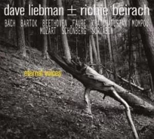 Eternal Voices by Dave Liebman/Richie Beirach CD Album