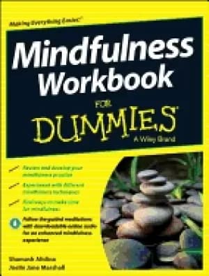 mindfulness workbook for dummies