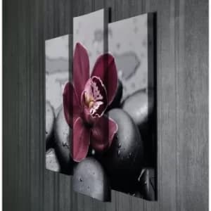 UC035 Multicolor Decorative Canvas Painting (3 Pieces)