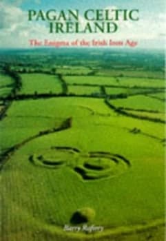 Pagan Celtic Ireland by Barry Raftery Paperback