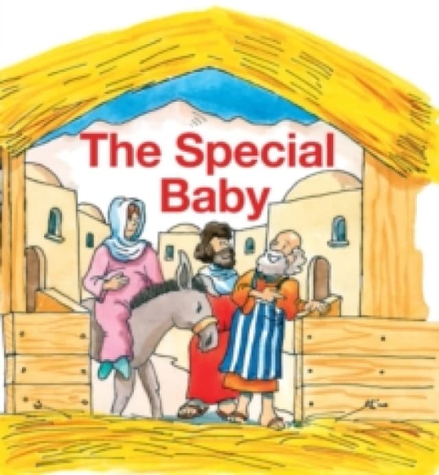 The Special Baby Book