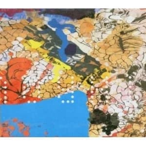 Throwing Muses - Throwing Muses CD