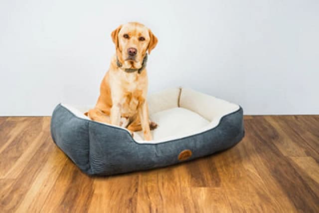 Snug & Cosy Pets Snug And Cosy Pets Malvern Dog Bed Bedding Rectangle Reversible Charcoal Small 64Cm 25"