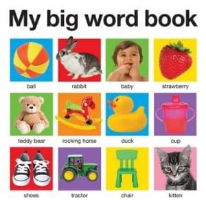 My Big Word Book by Roger Priddy Book