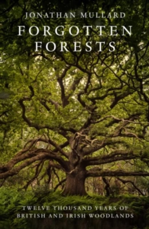 Forgotten Forests : Twelve Thousand Years of British and Irish Woodlands Hardback