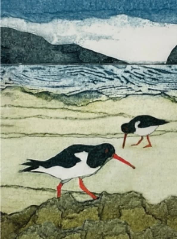 Wild Birds Pocket Notebook: Oystercatcher Notebook / blank book