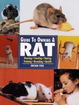 Guide to Owning a Rat by Susan Fox Paperback