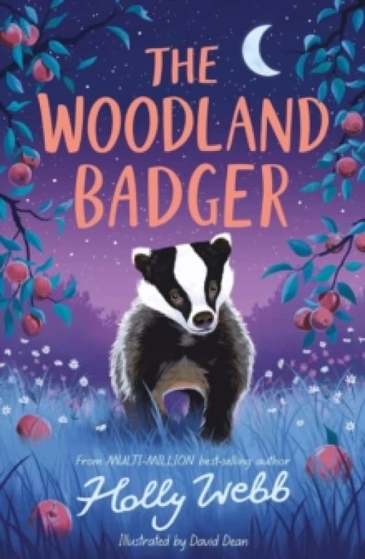 The Woodland Badger Paperback / softback