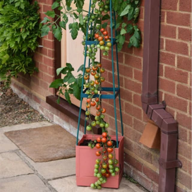 Garden Gear Self Watering 4 Tier Tomato Tower Jumbo Fruit & Vegetable Vine Plant, Support Grower, 1.5M Weatherproof Tower Garden Planter (5)