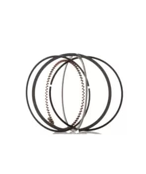 RIDEX Piston Ring Kit VW,SKODA,SEAT 444P0025 030107311M Piston Ring Set