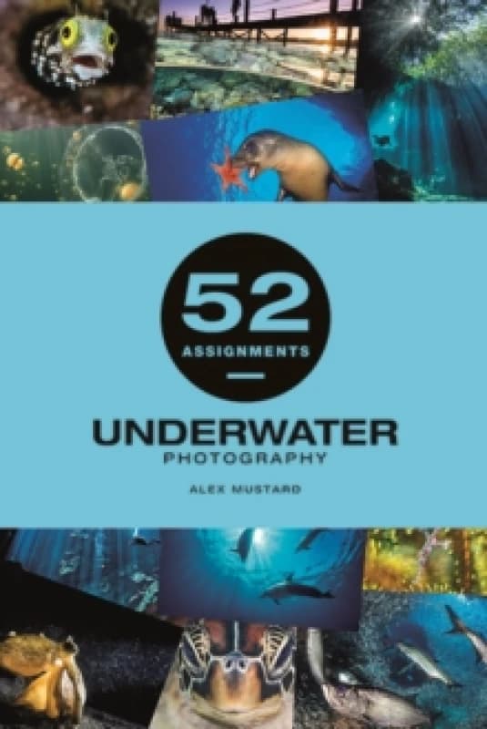 52 Assignments: Underwater Photography Hardback