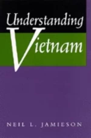 understanding vietnam