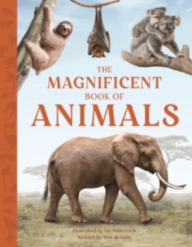 The Magnificent Book of Animals : JOURNEY INTO THE WILDERNESS TO SEE THE MOST MAGNIFICENT ANIMALS Paperback / softback