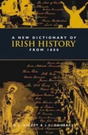 A dictionary of Irish history 1800-2000 by D. J. Hickey