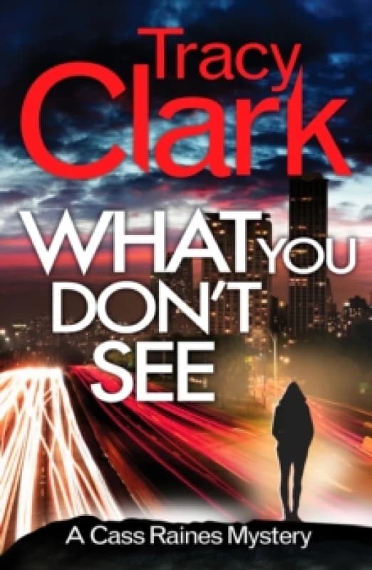 What You Don't See : A gripping private investigator series Paperback / softback