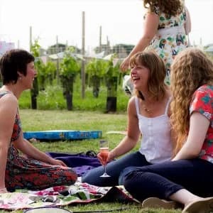 Buyagift Vineyard Tour and Tasting with Lunch or Afternoon Tea for Two Special Offer