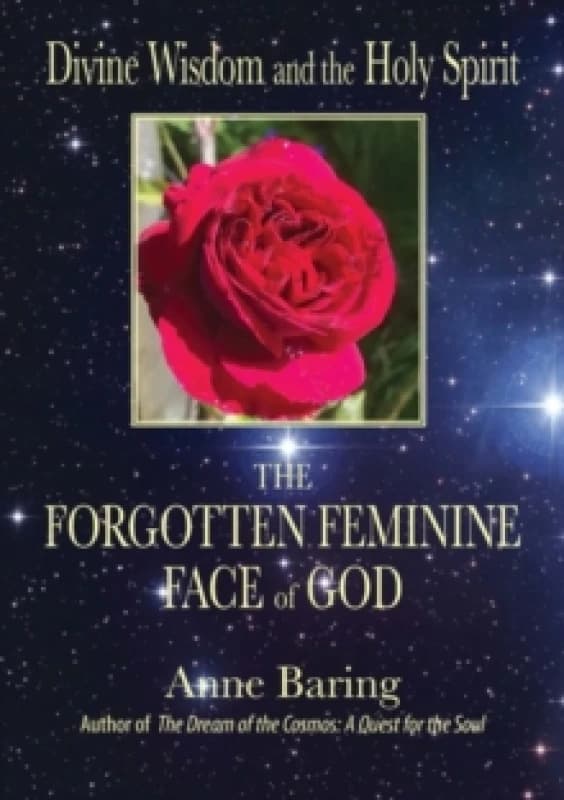 Divine Wisdom and the Holy Spirit: : The Forgotten Feminine Face of God Paperback / softback