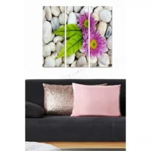 MDF8241720 Multicolor Decorative MDF Painting (3 Pieces)