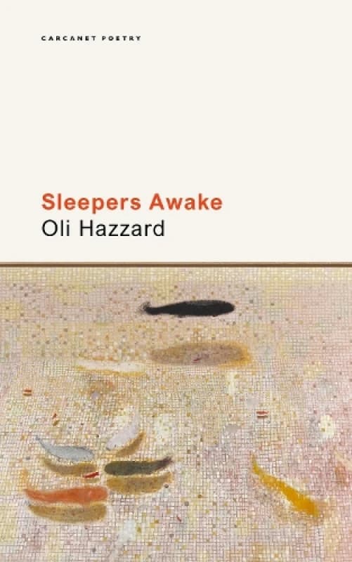 Sleepers Awake Paperback / softback