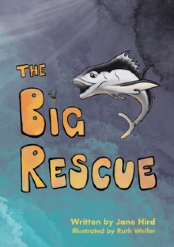 The Big Rescue. Paperback. By Jane Hird Books