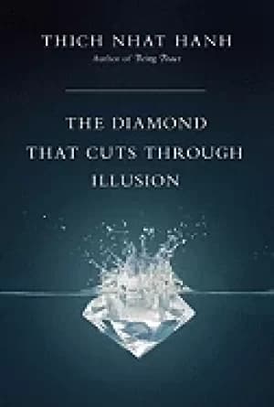 diamond that cuts through illusion