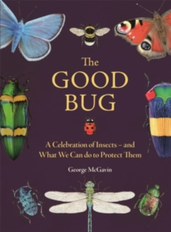 The Good Bug : A Celebration of Insects (and What We Can Do to Protect Them) Hardback