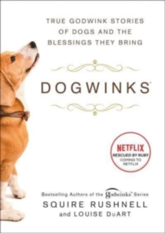 Dogwinks : True Godwink Stories of Dogs and the Blessings They Bring Volume 6 Paperback / softback