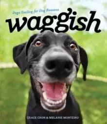 Waggish : Dogs Smiling for Dog Reasons