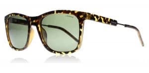 Polaroid Palladium 2034S Sunglasses Havana Gold NHO Polariserade 53mm