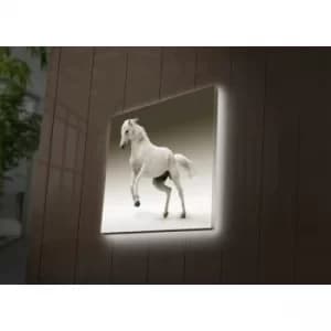 4040DACT-41 Multicolor Decorative LED Lighted Canvas Painting