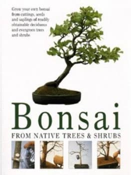 Bonsai by Werner M Busch Paperback