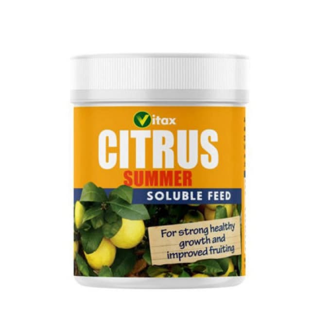 Vitax 200g Citrus Feed for Summer