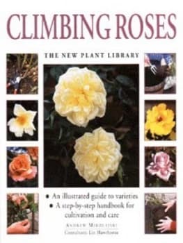 Climbing Roses by Andrew Mikolajski and Lin Hawthorne and Peter Anderson Hardback
